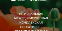 В Геленджике стартовала комплексная операция «Мак-2025» - Администрация г. Геленджика