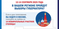 Избиратели из Краснодарского края смогут проголосовать на выборах губернатора, находясь в Москве - Администрация г. Геленджика